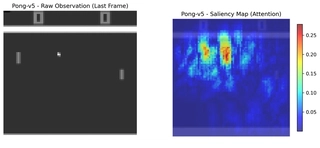 Saliency Map for Rainbow DQN in Pong. The agent strongly attends to the ball (center) and the paddles, ignoring the background.