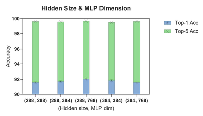 Impact of Hidden Size and MLP Dim