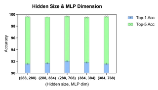 Impact of Hidden Size and MLP Dim