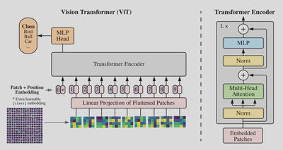 Hybrid ViT Model Architecture