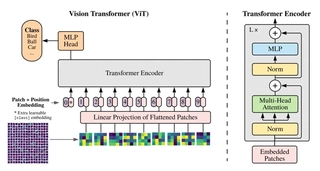 Hybrid ViT Model Architecture