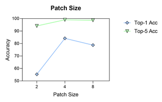 Impact of Patch Size
