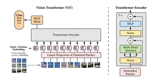 Basic ViT Model Architecture