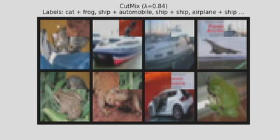 Cutmix1