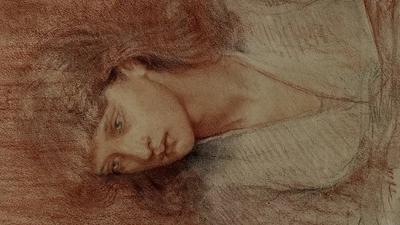 Several Exhibitions featured image