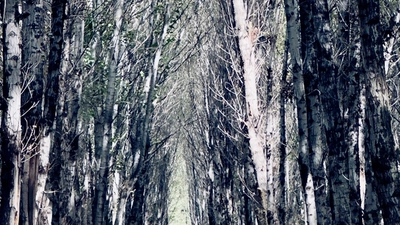 People featured image